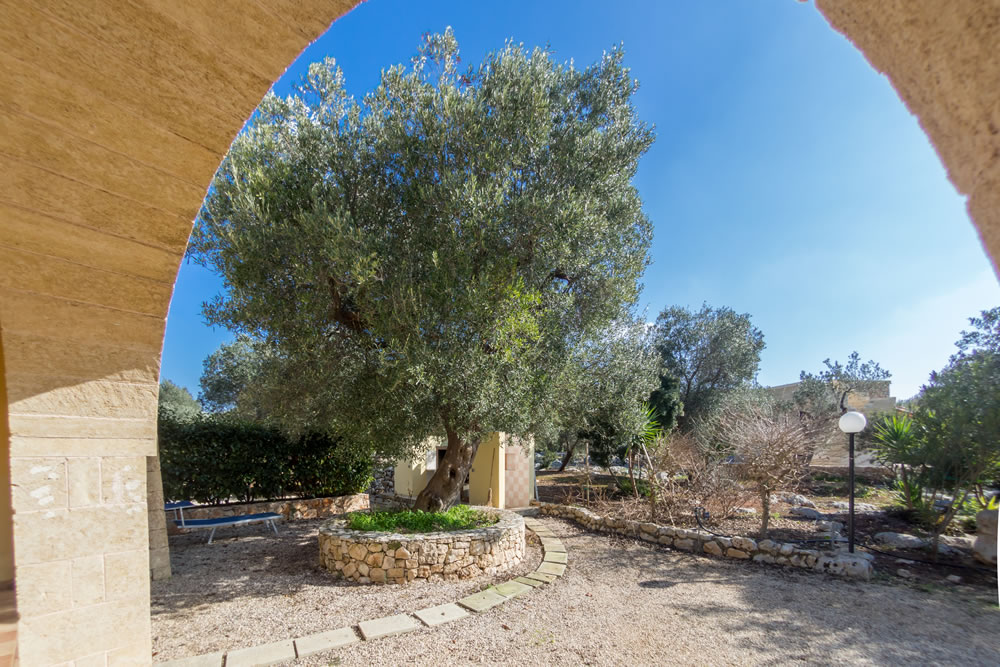Caratteristica villetta in pietra con giardino